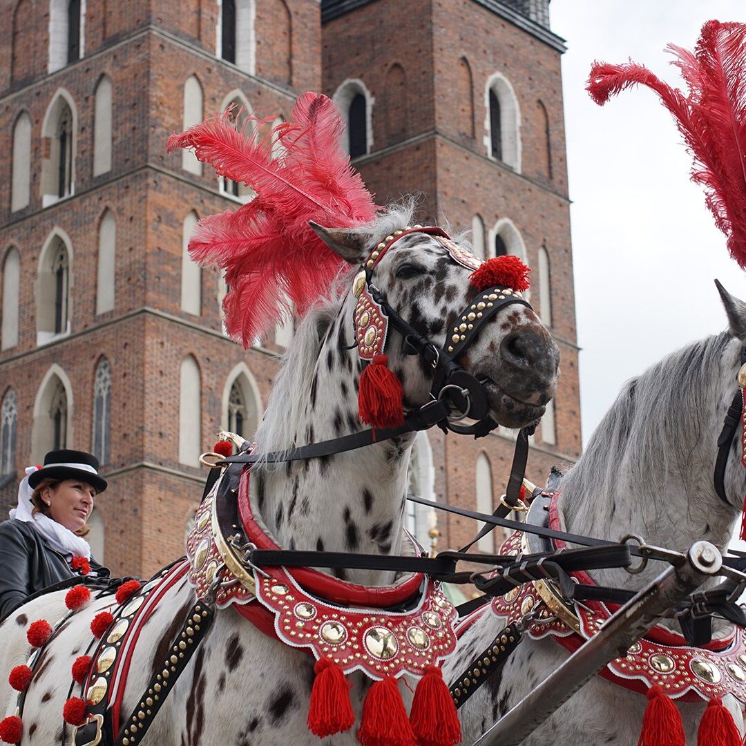 Dorożki Krakowskie