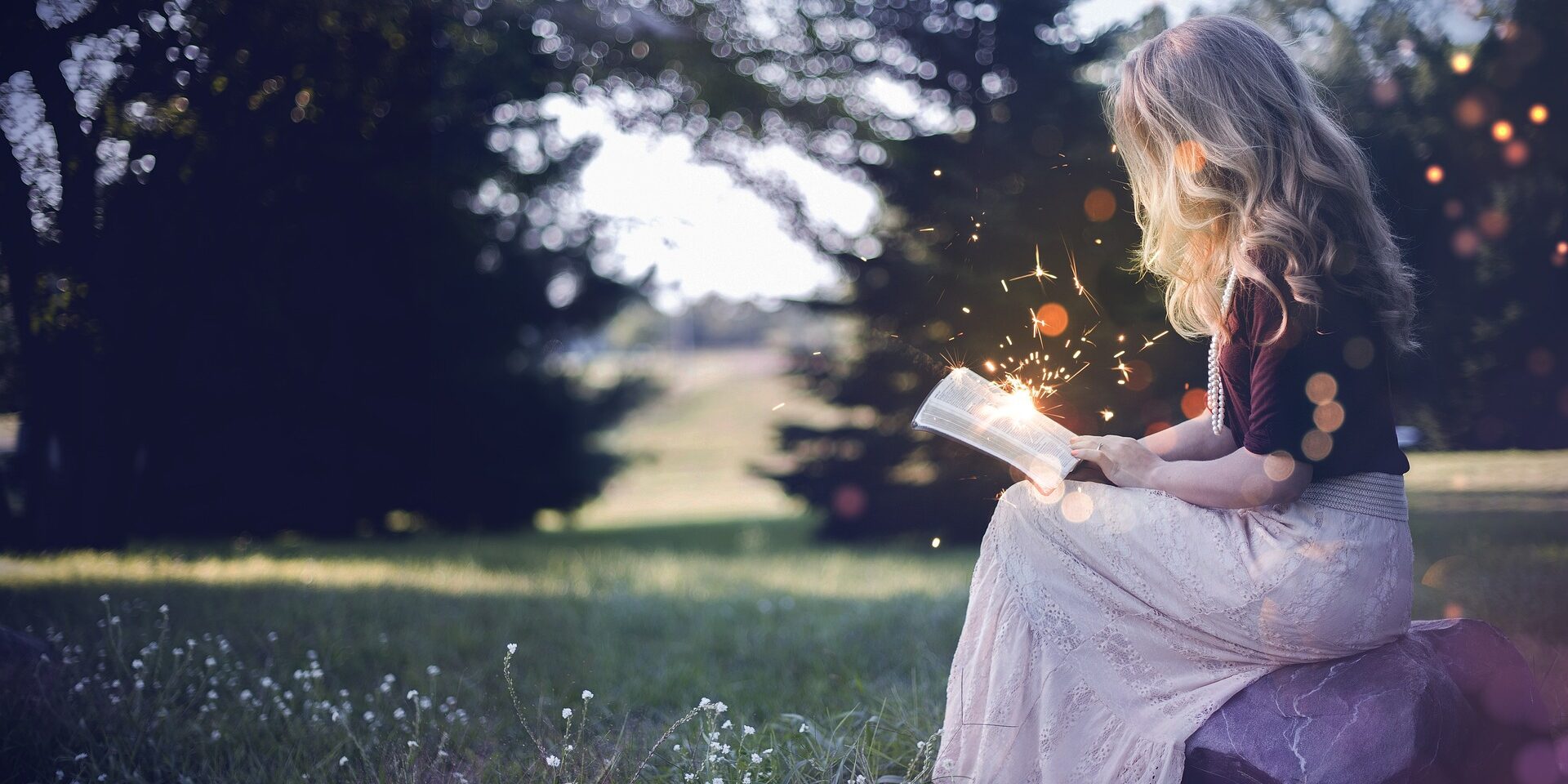 Bajka o królestwie Internetu